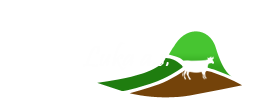 Luka a.s.