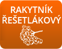 Rakytník řešelákový