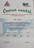 Ocenění